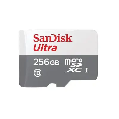 SanDisk Ultra 256GB Class-10 100mbps Micro SDXC UHS-I Memory Card